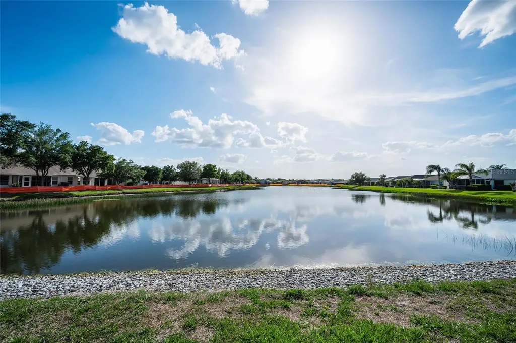1933 Arbor Knoll Loop Trinity FL 34655