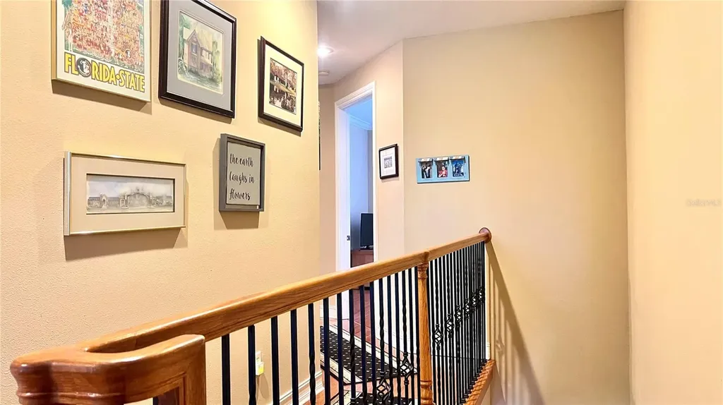 1266 Ribolla Drive Palm Harbor FL 34683