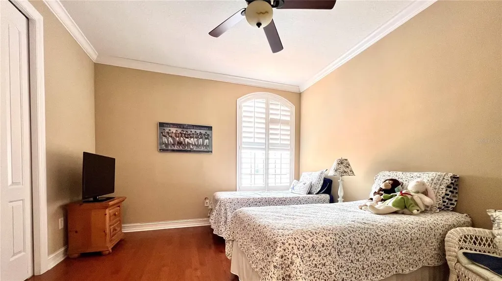 1266 Ribolla Drive Palm Harbor FL 34683