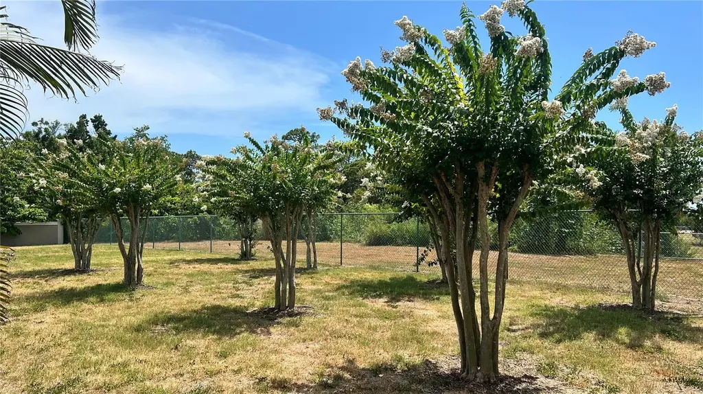 1266 Ribolla Drive Palm Harbor FL 34683