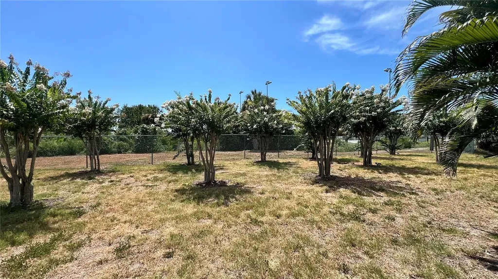 1266 Ribolla Drive Palm Harbor FL 34683