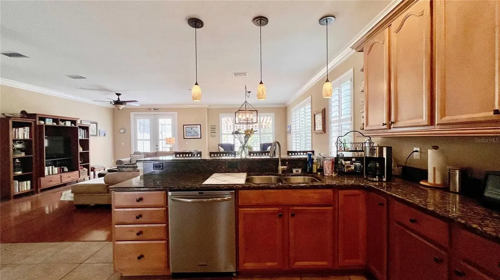 1266 Ribolla Drive Palm Harbor FL 34683