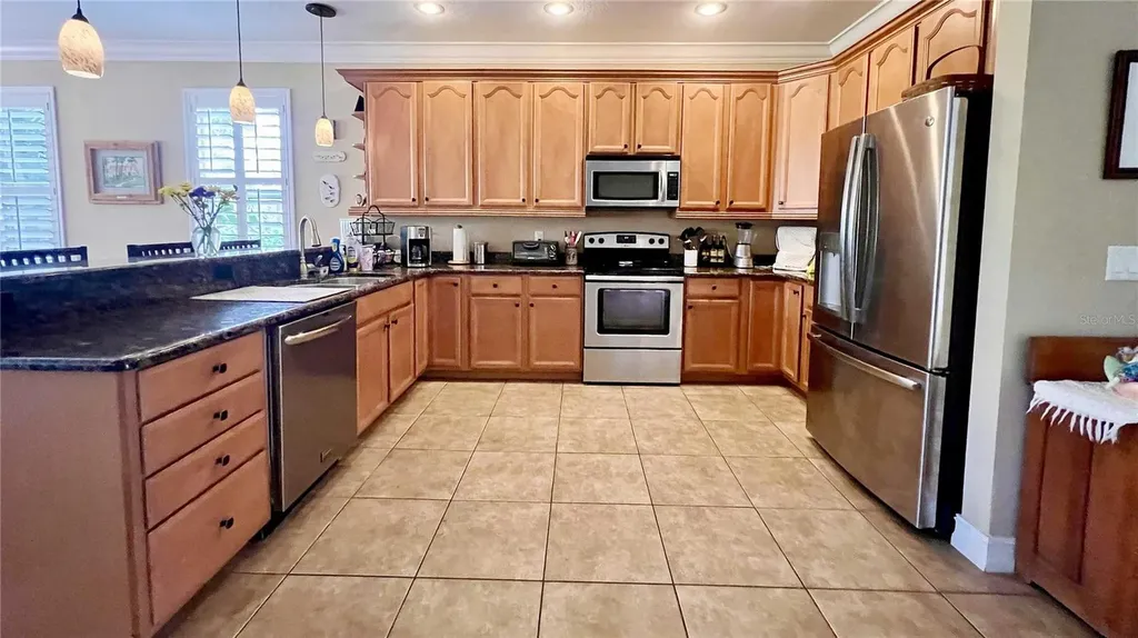 1266 Ribolla Drive Palm Harbor FL 34683