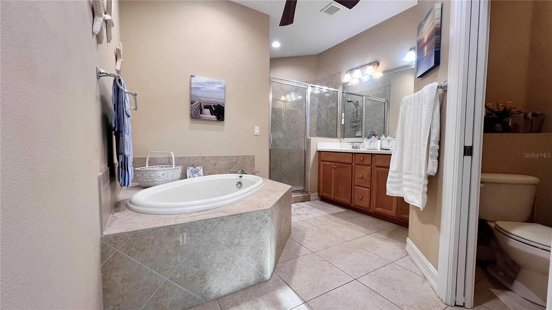 1266 Ribolla Drive Palm Harbor FL 34683