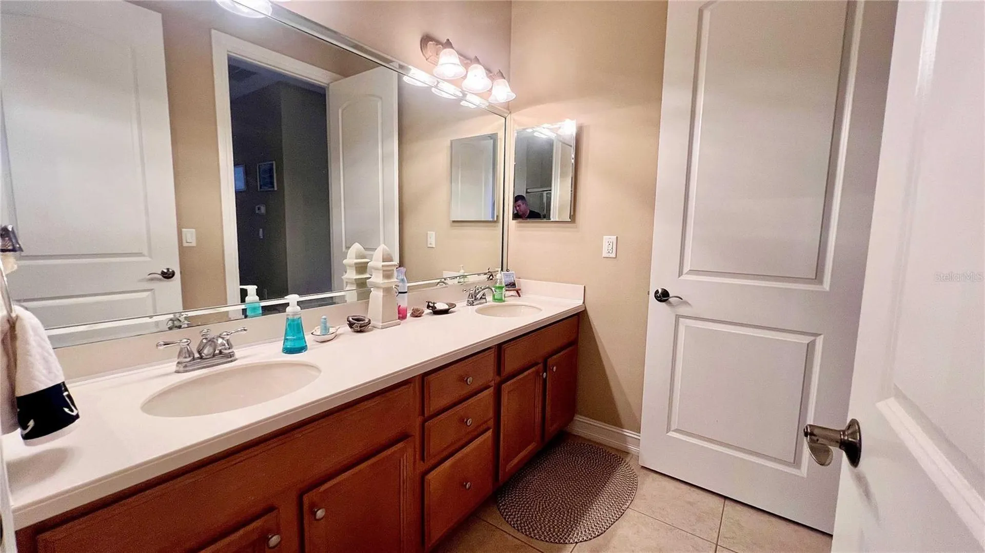 1266 Ribolla Drive Palm Harbor FL 34683