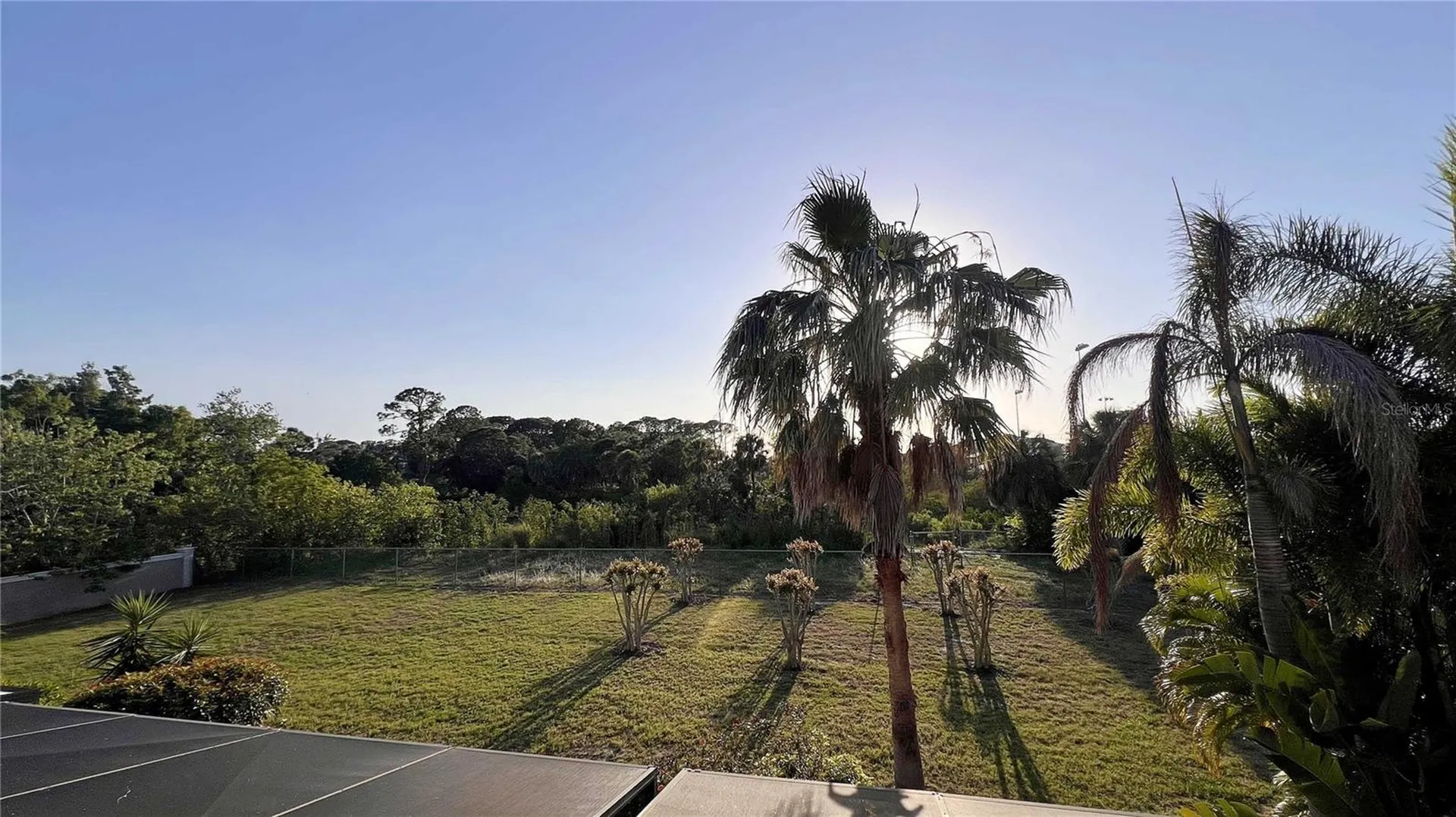 1266 Ribolla Drive Palm Harbor FL 34683