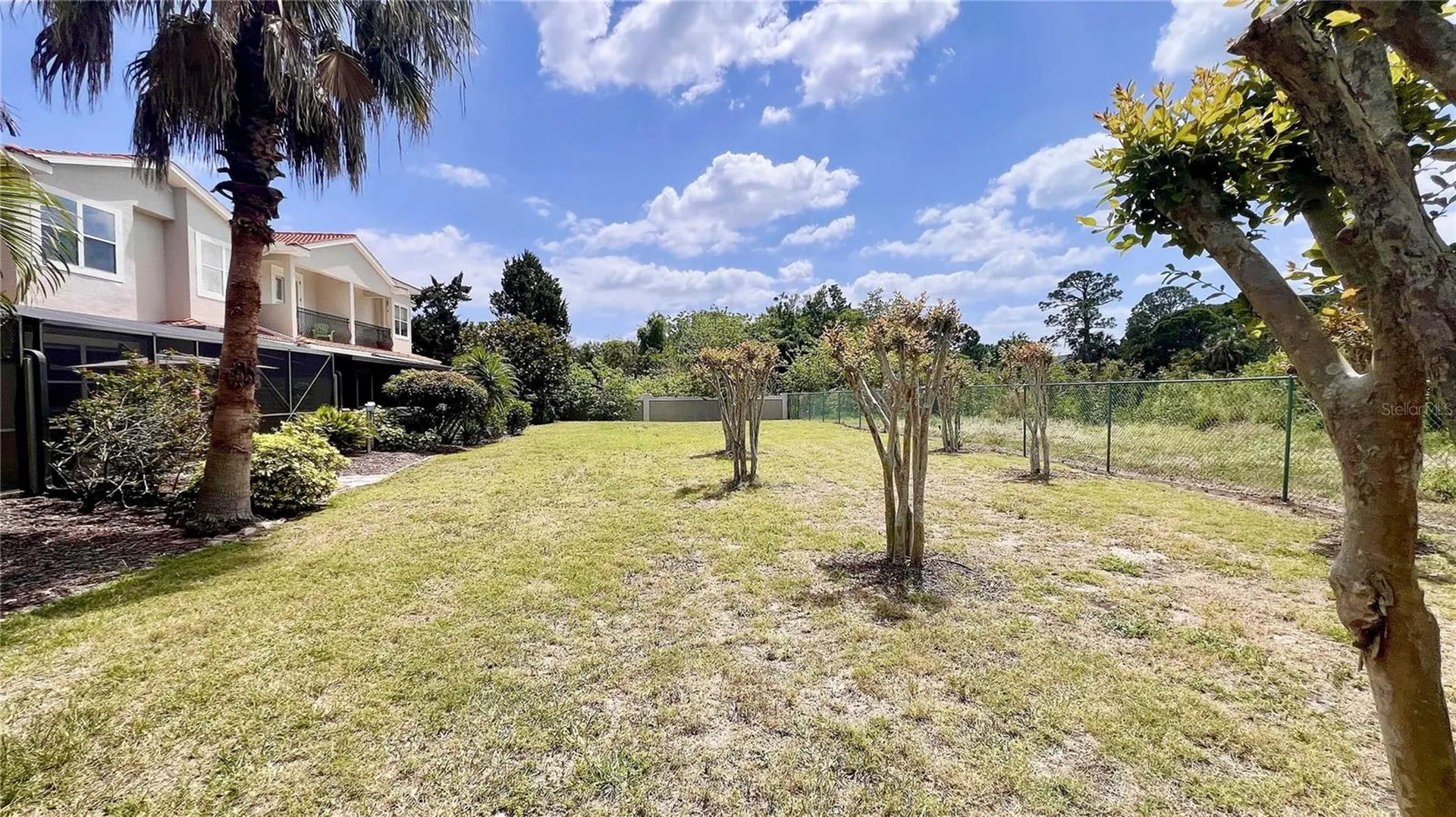 1266 Ribolla Drive Palm Harbor FL 34683
