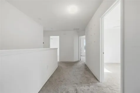 1096 Papaya Circle Davenport FL 33897