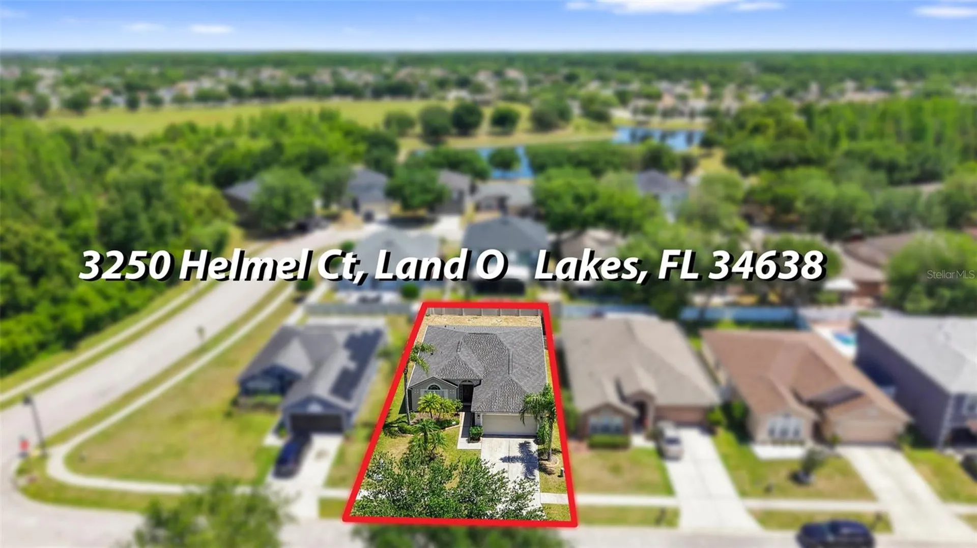 3250 Helmel Court Land O Lakes FL 34638