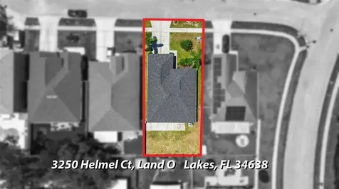 3250 Helmel Court Land O Lakes FL 34638
