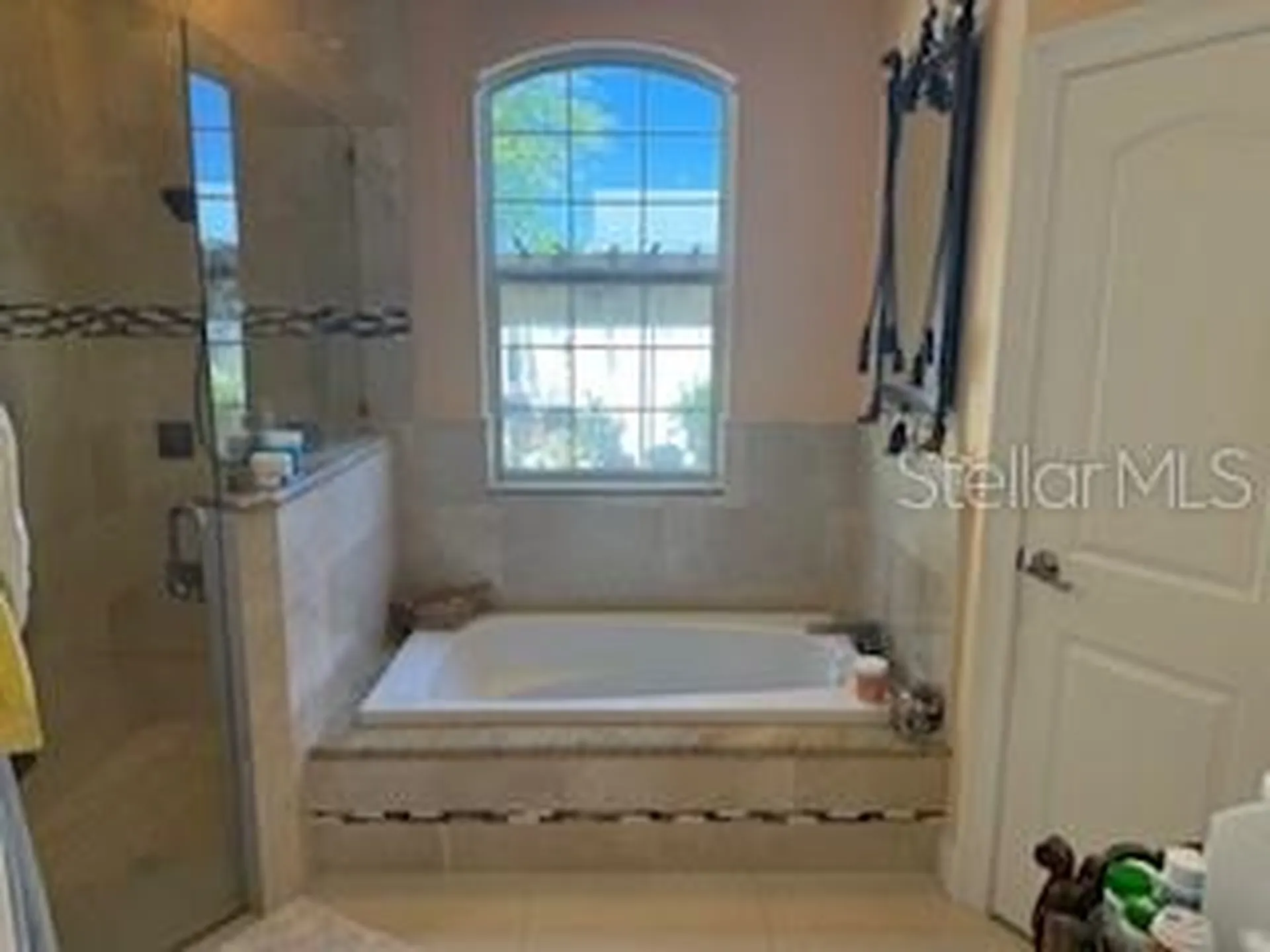 3013 W Leroy Street Tampa FL 33607