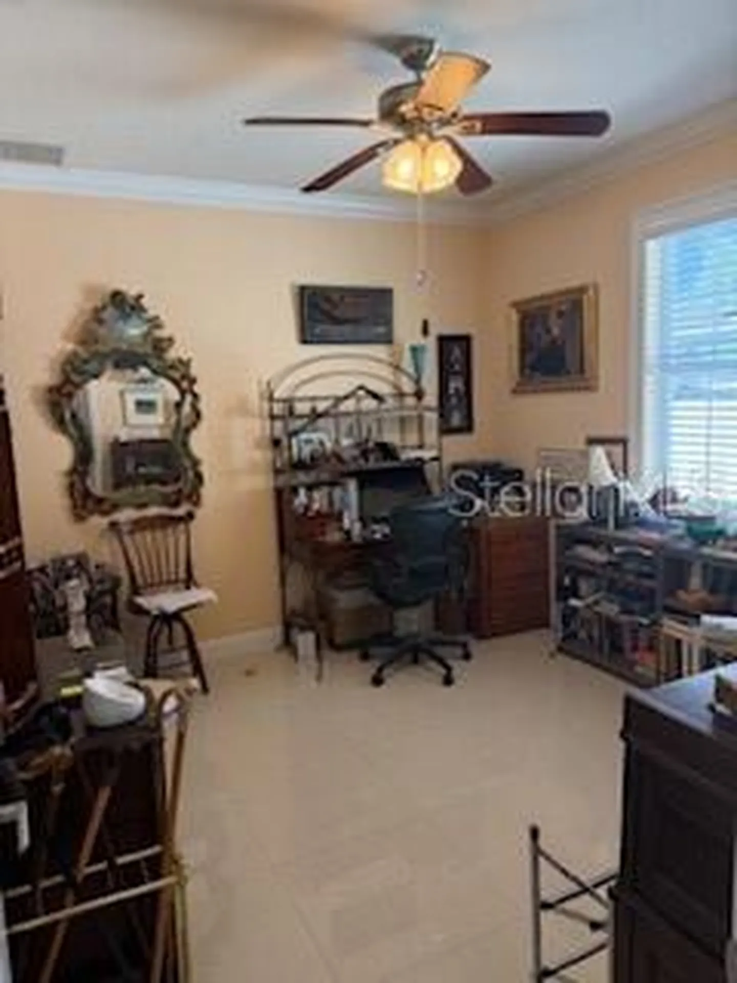 3013 W Leroy Street Tampa FL 33607