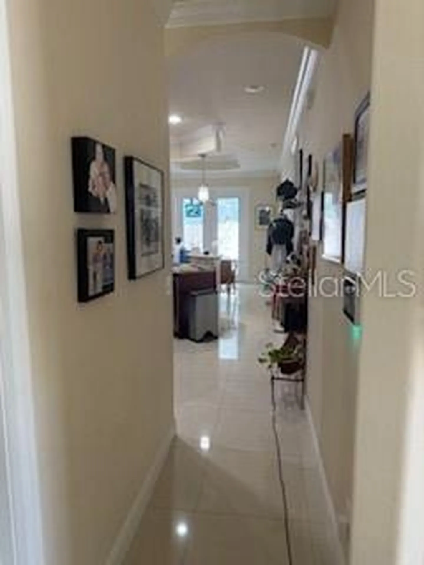 3013 W Leroy Street Tampa FL 33607