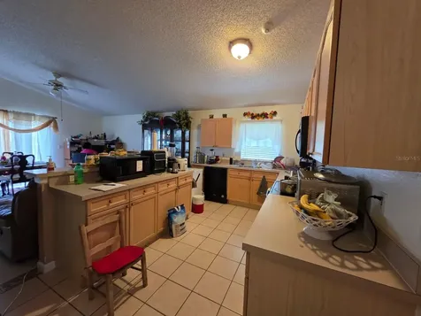 2319 Lily Pad Lane Kissimmee FL 34743