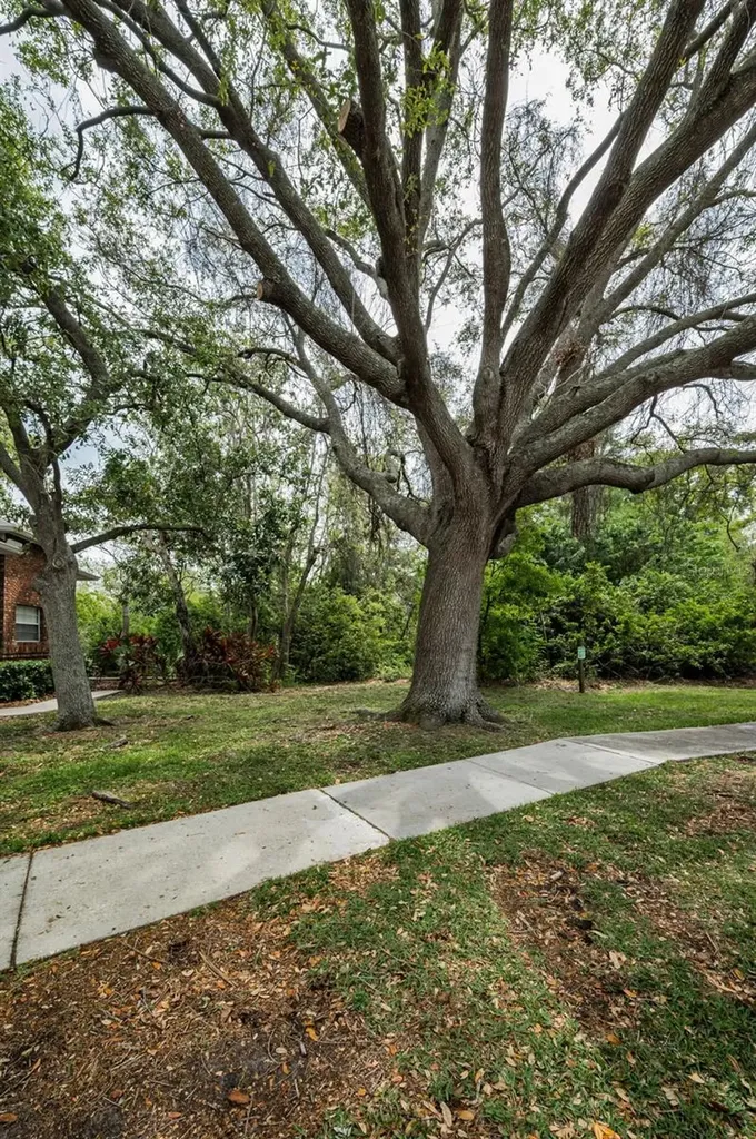 2997 Eagle Estates Circle E Clearwater FL 33761