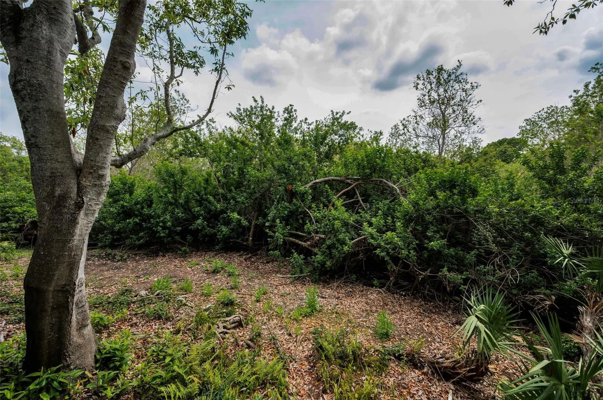 2997 Eagle Estates Circle E Clearwater FL 33761