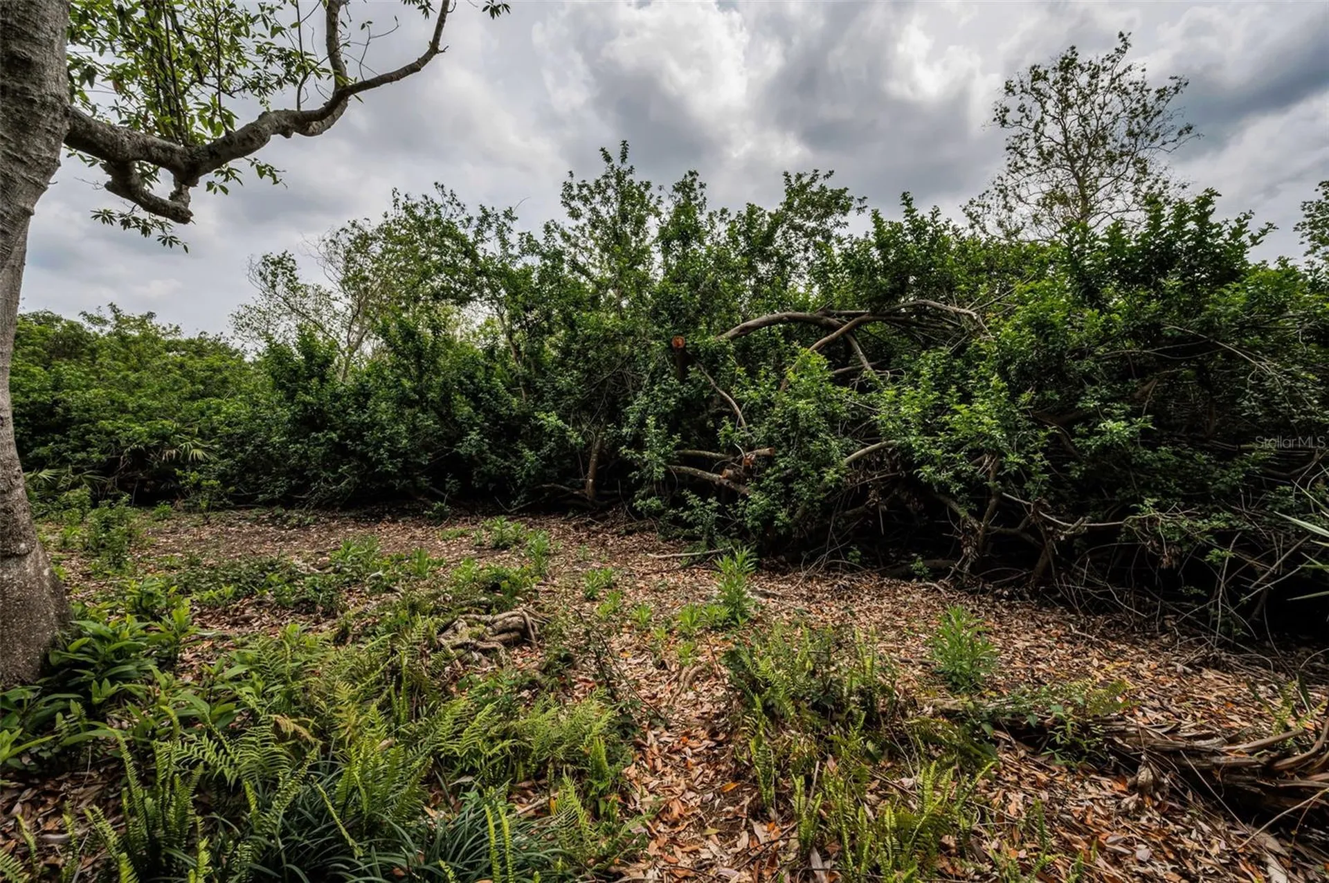 2997 Eagle Estates Circle E Clearwater FL 33761