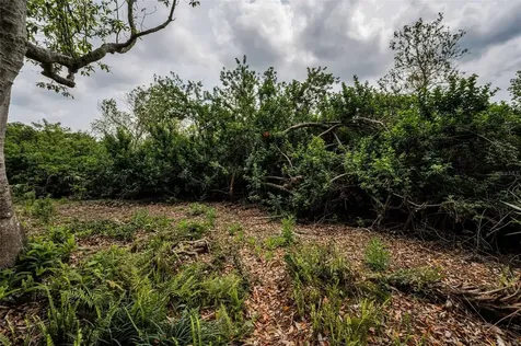 2997 Eagle Estates Circle E Clearwater FL 33761