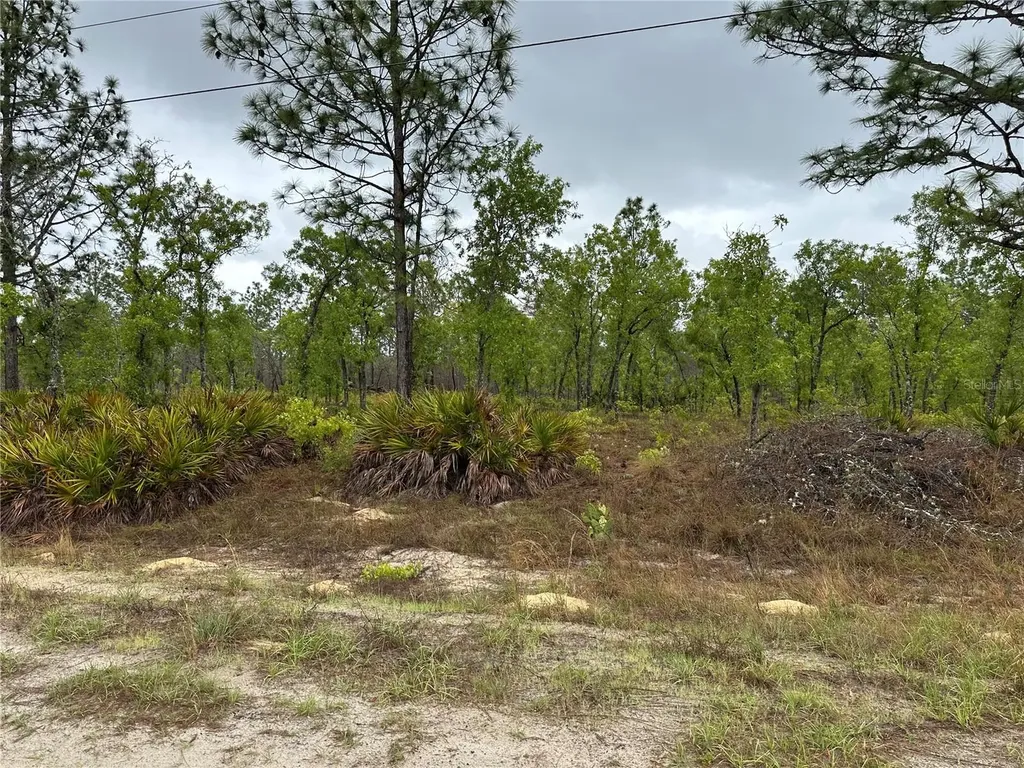 SW 95th Place Dunnellon FL 34432