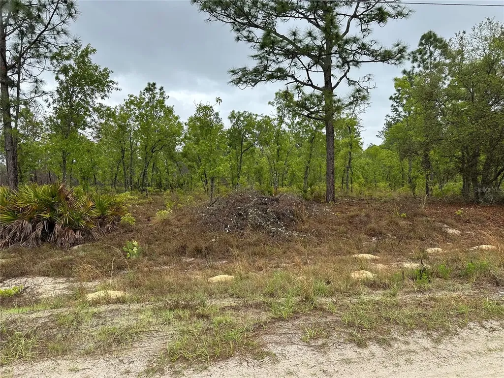 SW 95th Place Dunnellon FL 34432