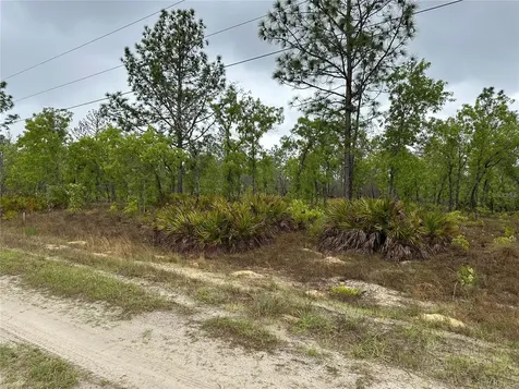 SW 95th Place Dunnellon FL 34432