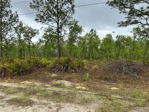 SW 95th Place Dunnellon FL 34432