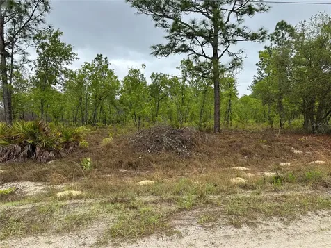 SW 95th Place Dunnellon FL 34432
