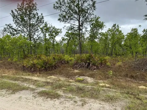 SW 95th Place Dunnellon FL 34432