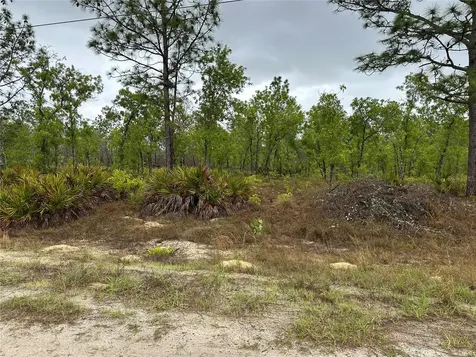 SW 95th Place Dunnellon FL 34432