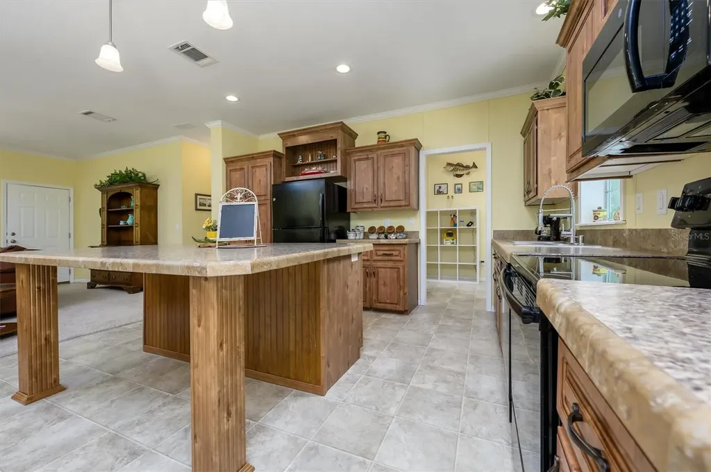30230 Palm Lane Wesley Chapel FL 33545