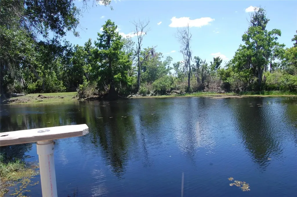30230 Palm Lane Wesley Chapel FL 33545