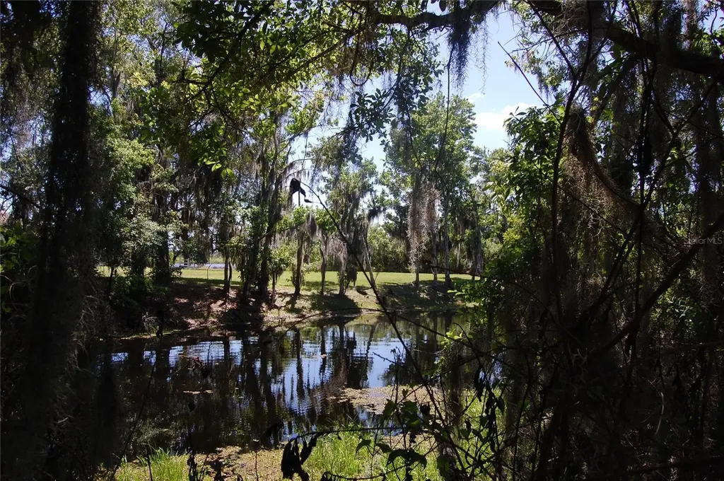 30230 Palm Lane Wesley Chapel FL 33545