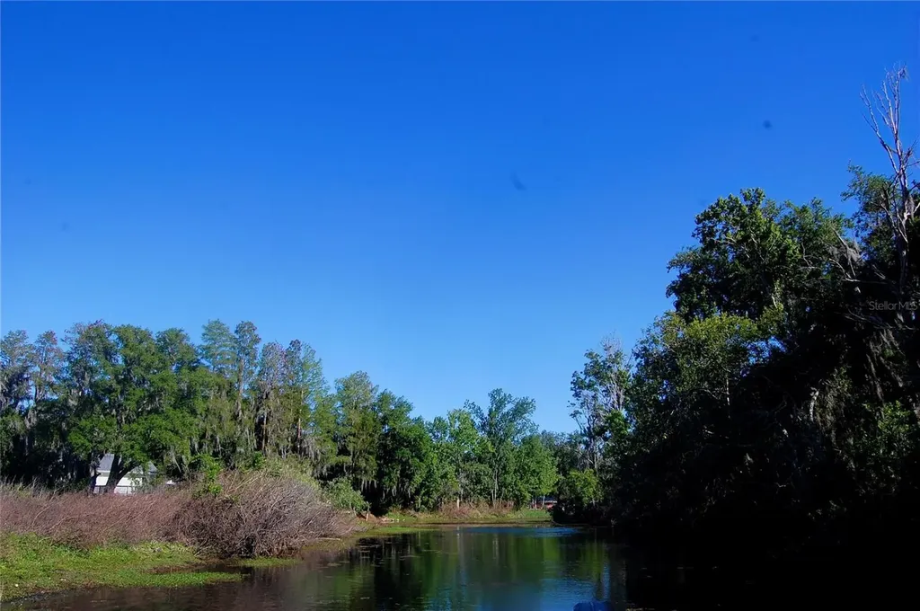 30230 Palm Lane Wesley Chapel FL 33545