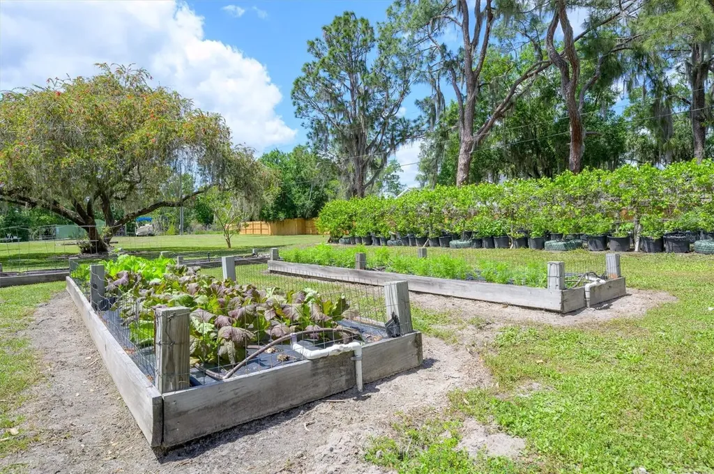 30230 Palm Lane Wesley Chapel FL 33545