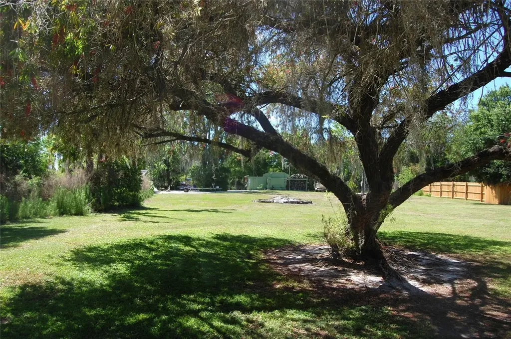 30230 Palm Lane Wesley Chapel FL 33545
