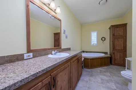 30230 Palm Lane Wesley Chapel FL 33545