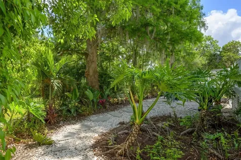 30230 Palm Lane Wesley Chapel FL 33545