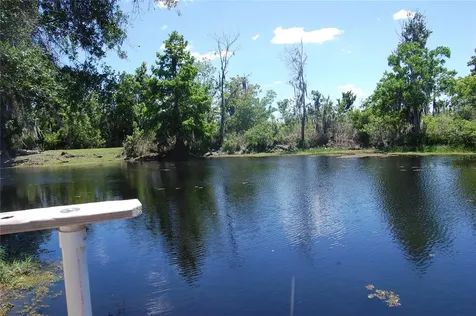 30230 Palm Lane Wesley Chapel FL 33545