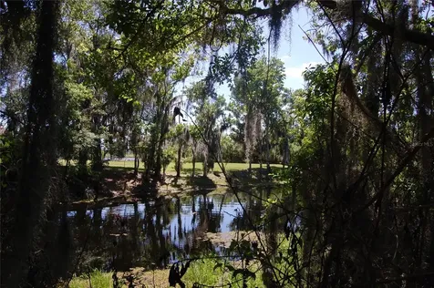 30230 Palm Lane Wesley Chapel FL 33545