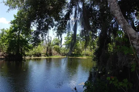 30230 Palm Lane Wesley Chapel FL 33545