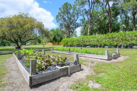 30230 Palm Lane Wesley Chapel FL 33545