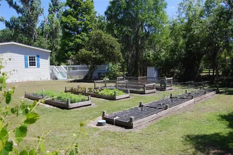 30230 Palm Lane Wesley Chapel FL 33545
