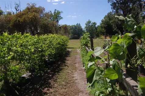 30230 Palm Lane Wesley Chapel FL 33545