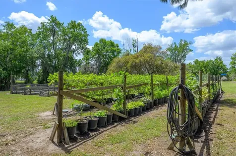 30230 Palm Lane Wesley Chapel FL 33545