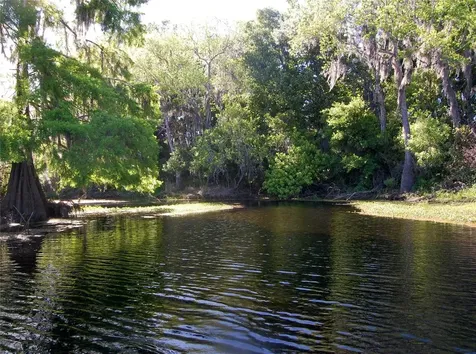 30230 Palm Lane Wesley Chapel FL 33545