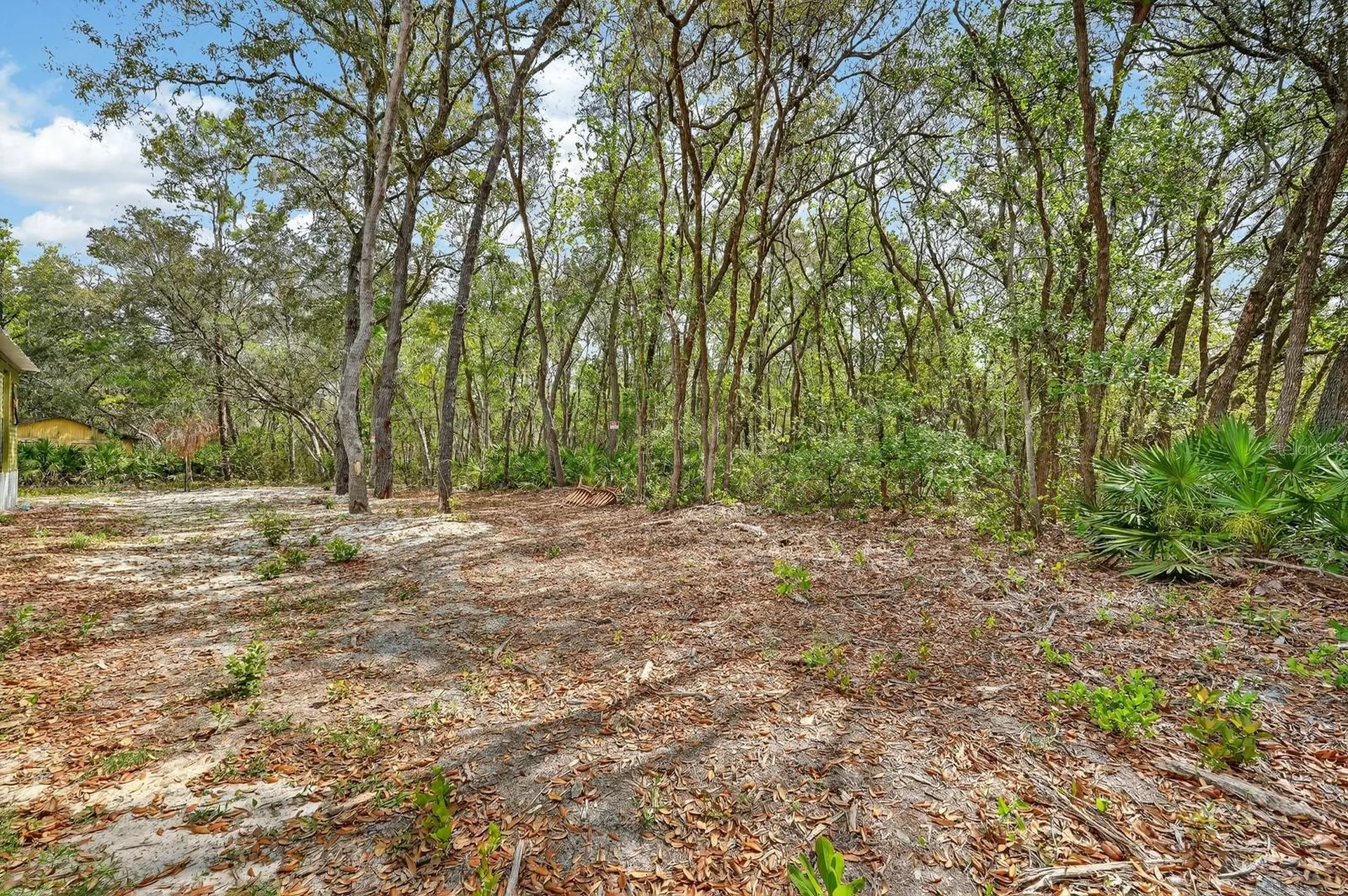 112 Palmer Drive Interlachen FL 32148