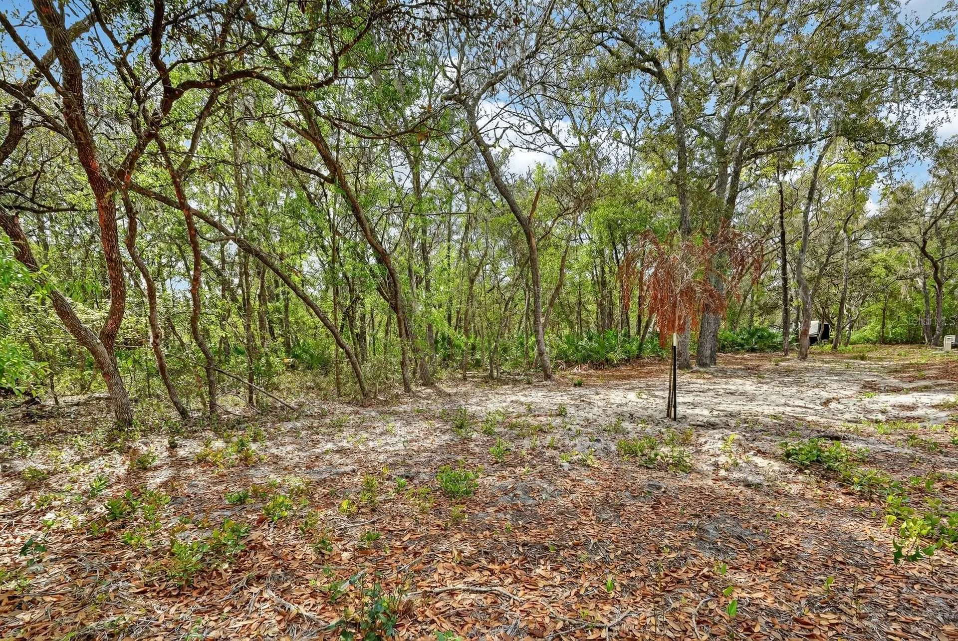 112 Palmer Drive Interlachen FL 32148