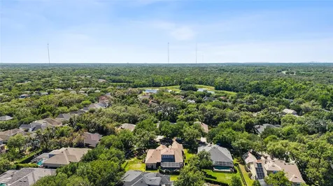 5823 Terncrest Drive Lithia FL 33547