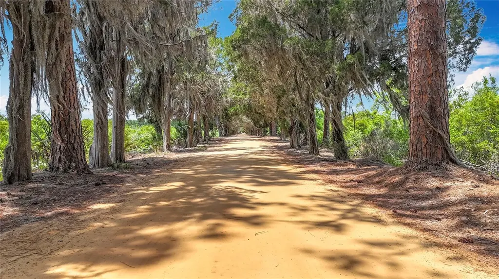 7374 Circle Drive Lady Lake FL 32159