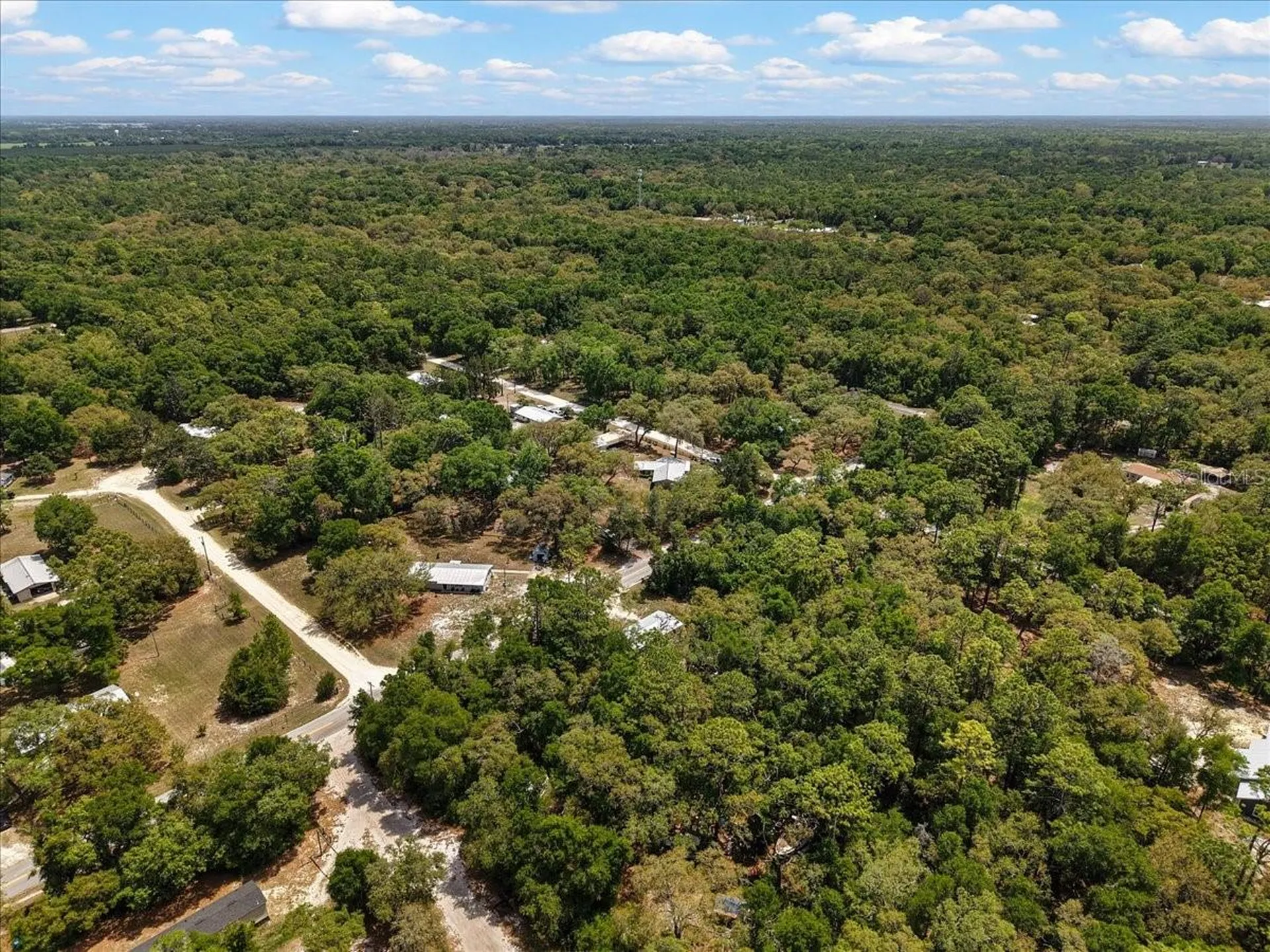 8731 NW 127th Place Chiefland FL 32626